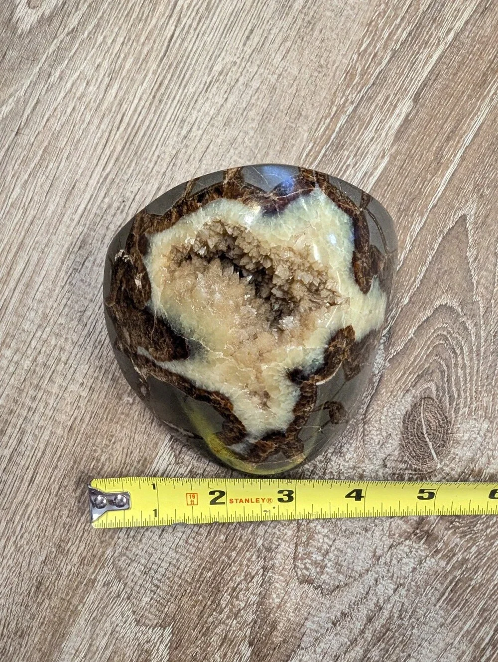 Large Septarian Nodule Stone Polished Crystal Filled